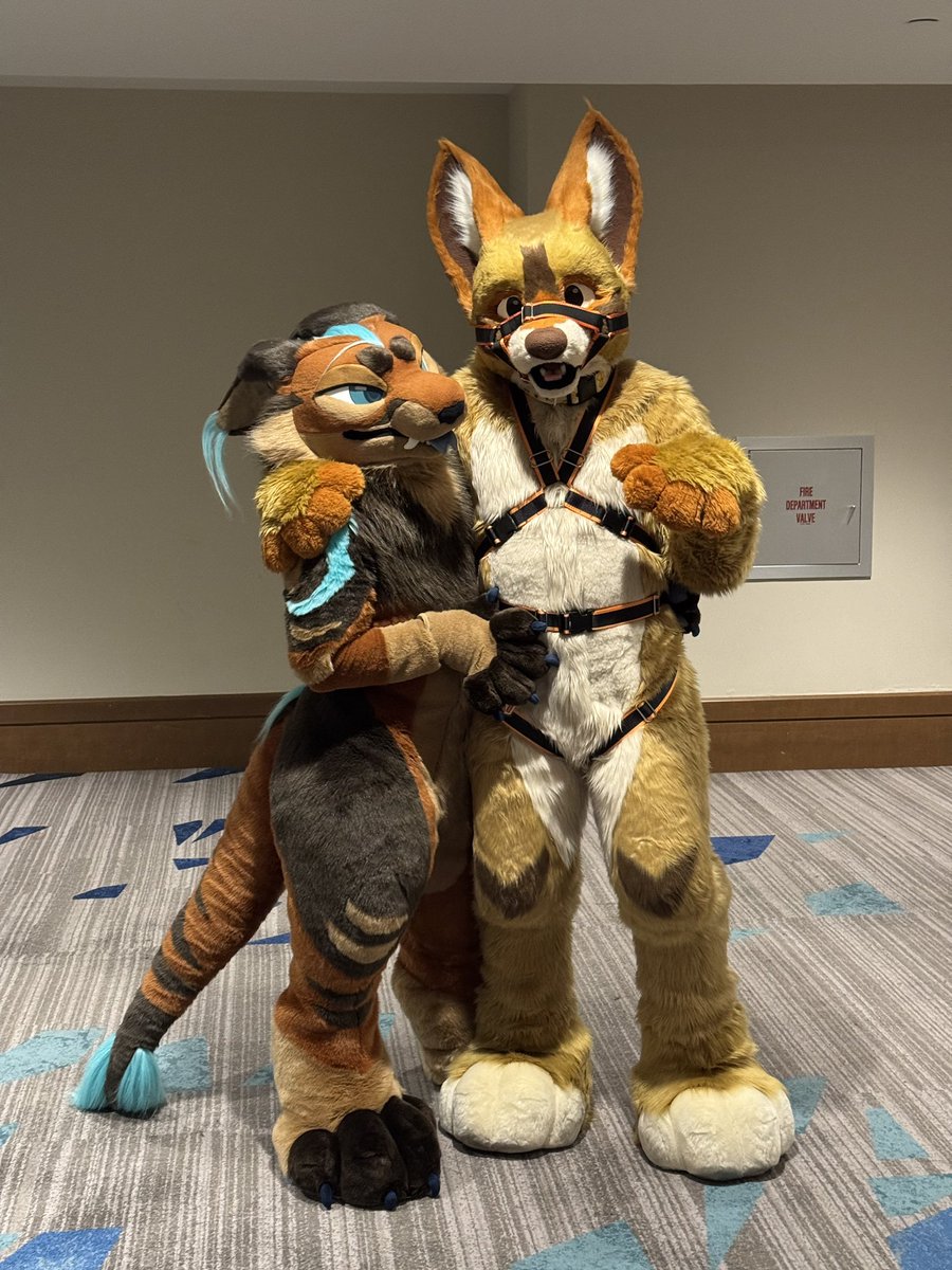 megaplex

🥸: <a href="/AlphaKraftC/">𝘿Σ𝙇𝙏𝘼</a>