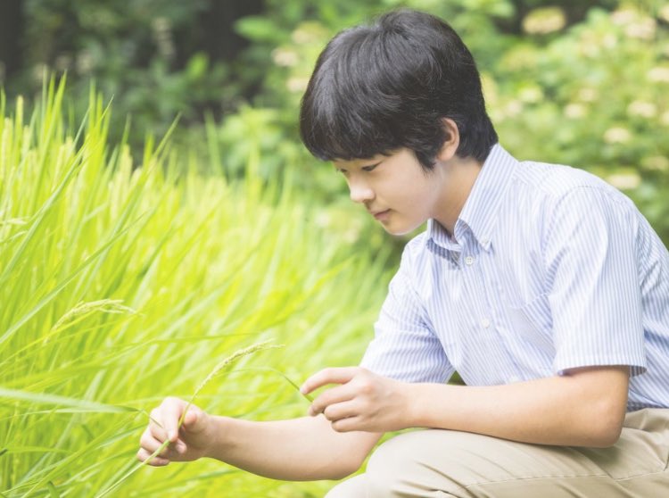 2022年　悠仁親王殿下16歳

　秋津羽の姿の国に跡垂るる　
　　神の守りや我が君のため　
　　　　　　　　（『続後撰和歌集』）

あと✨3日✨
#加冠の儀カウントダウン 
#悠仁さま加冠の儀