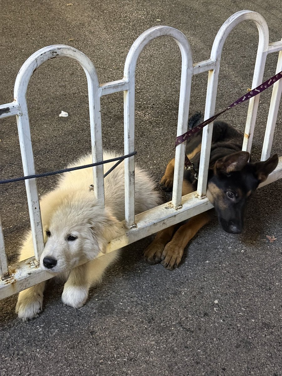 修勾修勾你在想什么