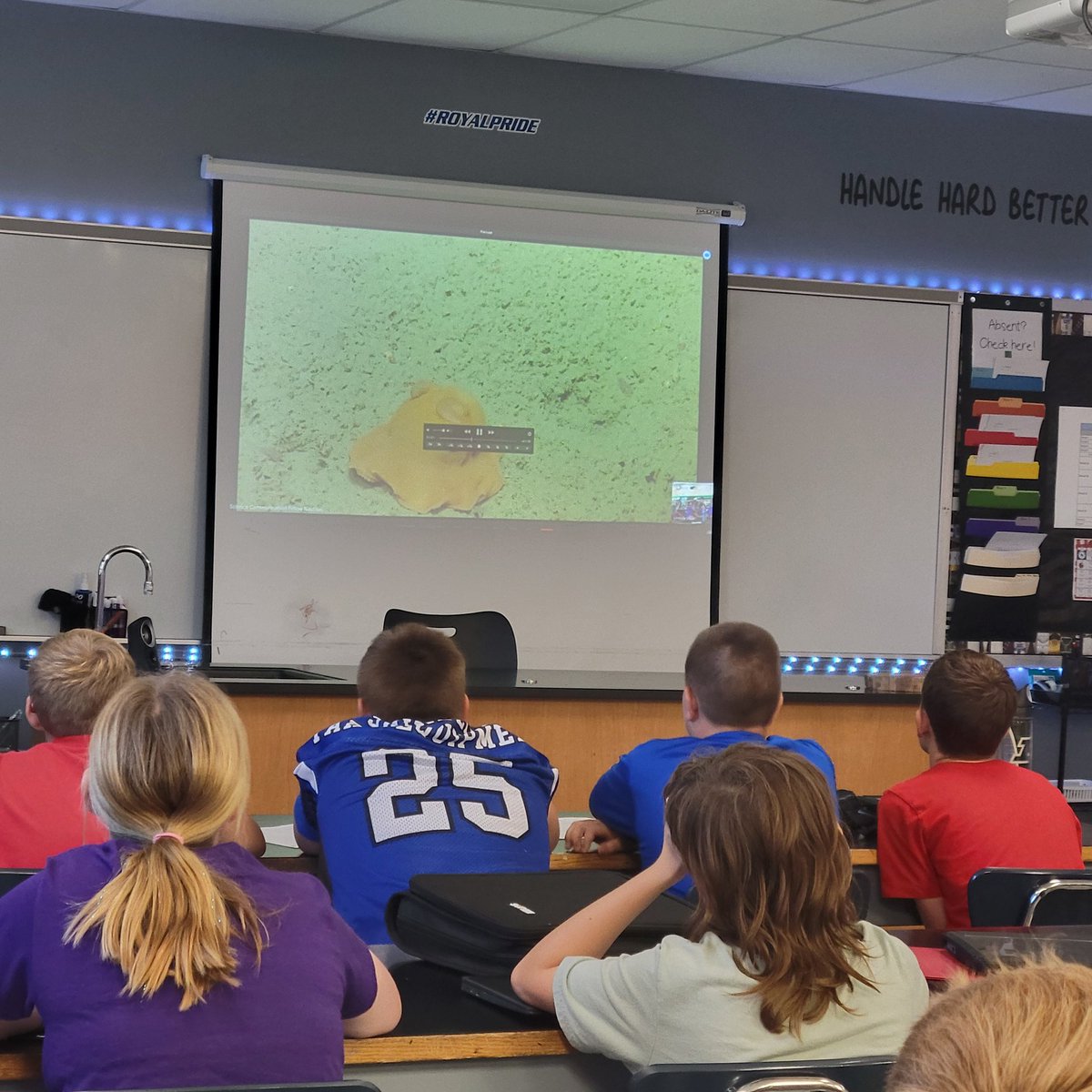 EHMS Shaw Science tweet media