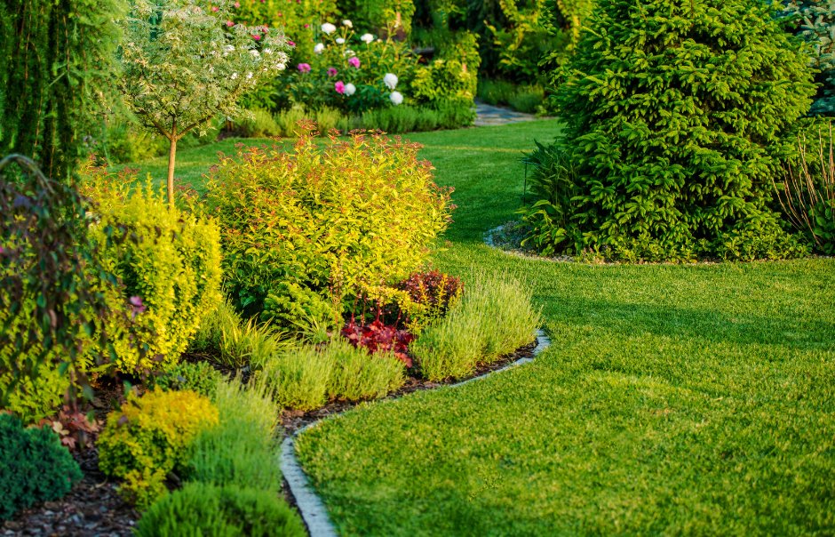 ABNLLC's tweet image. 🌷 Strong market presence, loyal client base, and low competition. Invest confidently in a robust landscaping operation. 

👉Click here for more info and to sign the NDA: zurl.co/evz6m 

#InvestConfidently #ClientLoyalty #BusinessInvestment