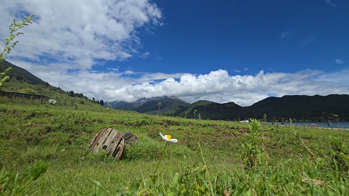 kwok甘伦 tweet media