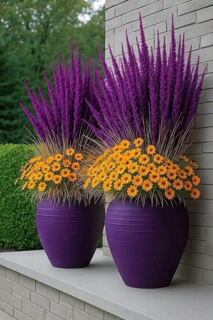 Nature Reflections (@naturerefl22153) on Twitter photo 