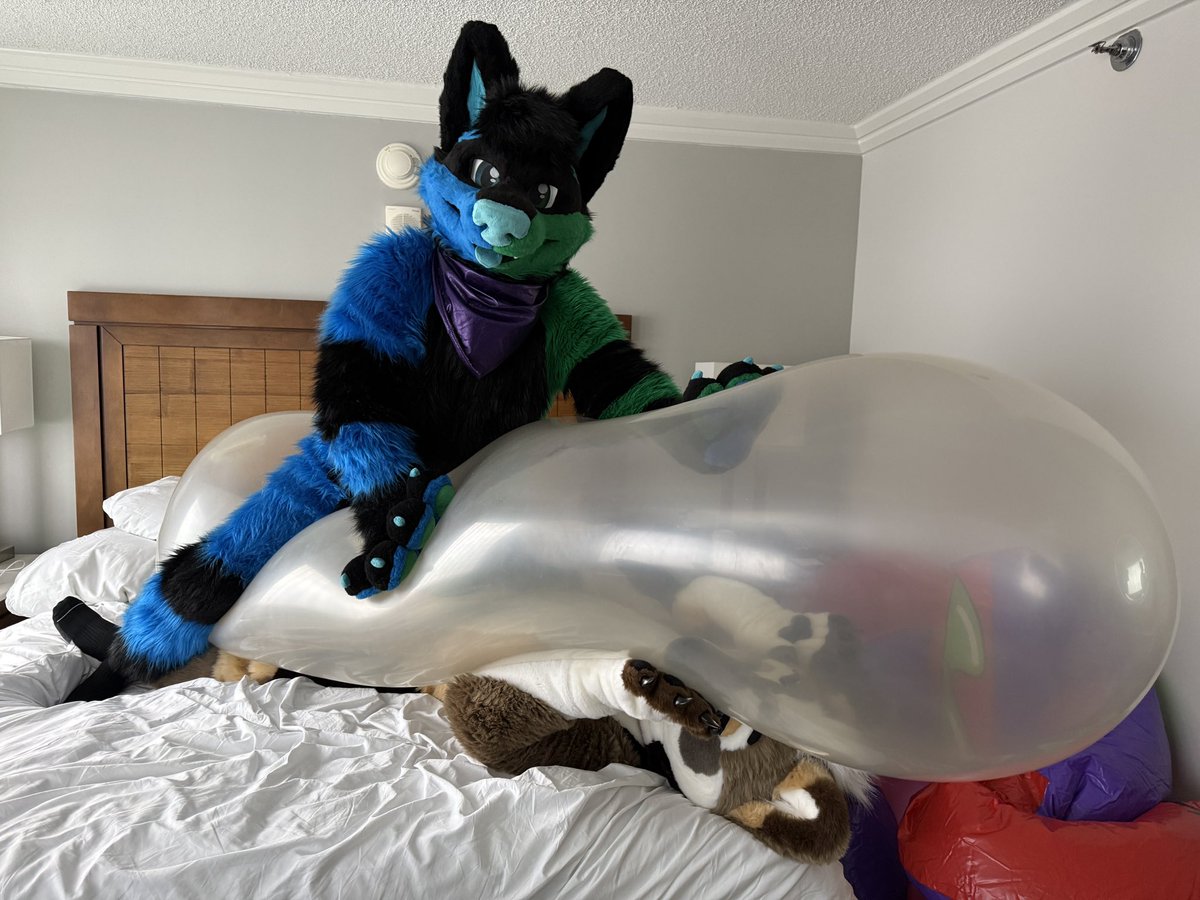 Squeaky Candy Wuff 🎈 tweet media