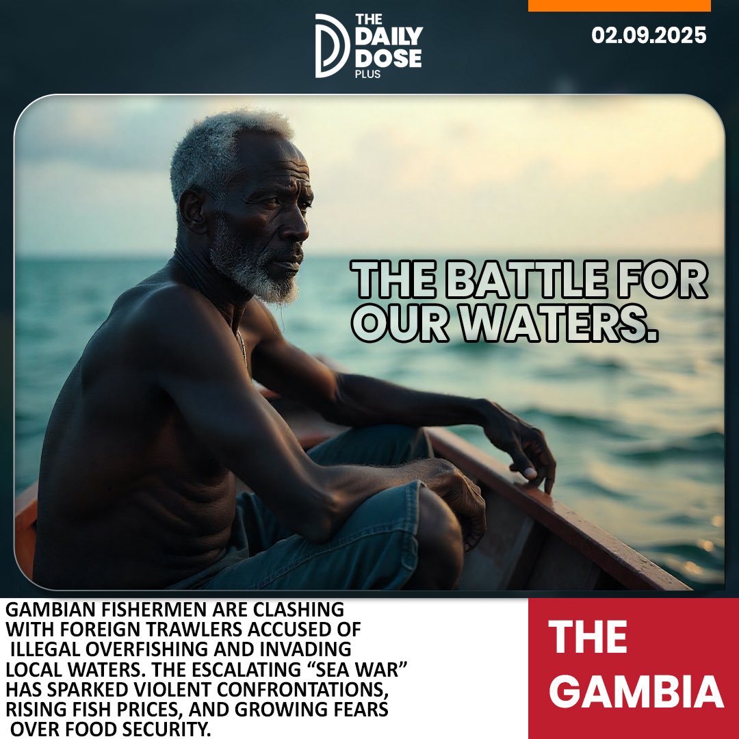 The Daily Dose+ tweet media