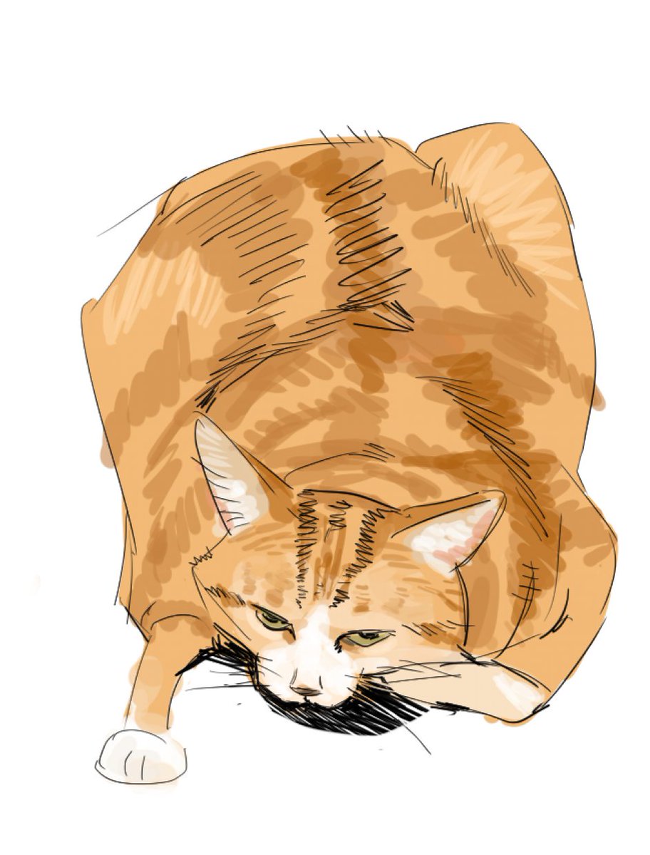 海baba (@haibaba2) on Twitter photo 