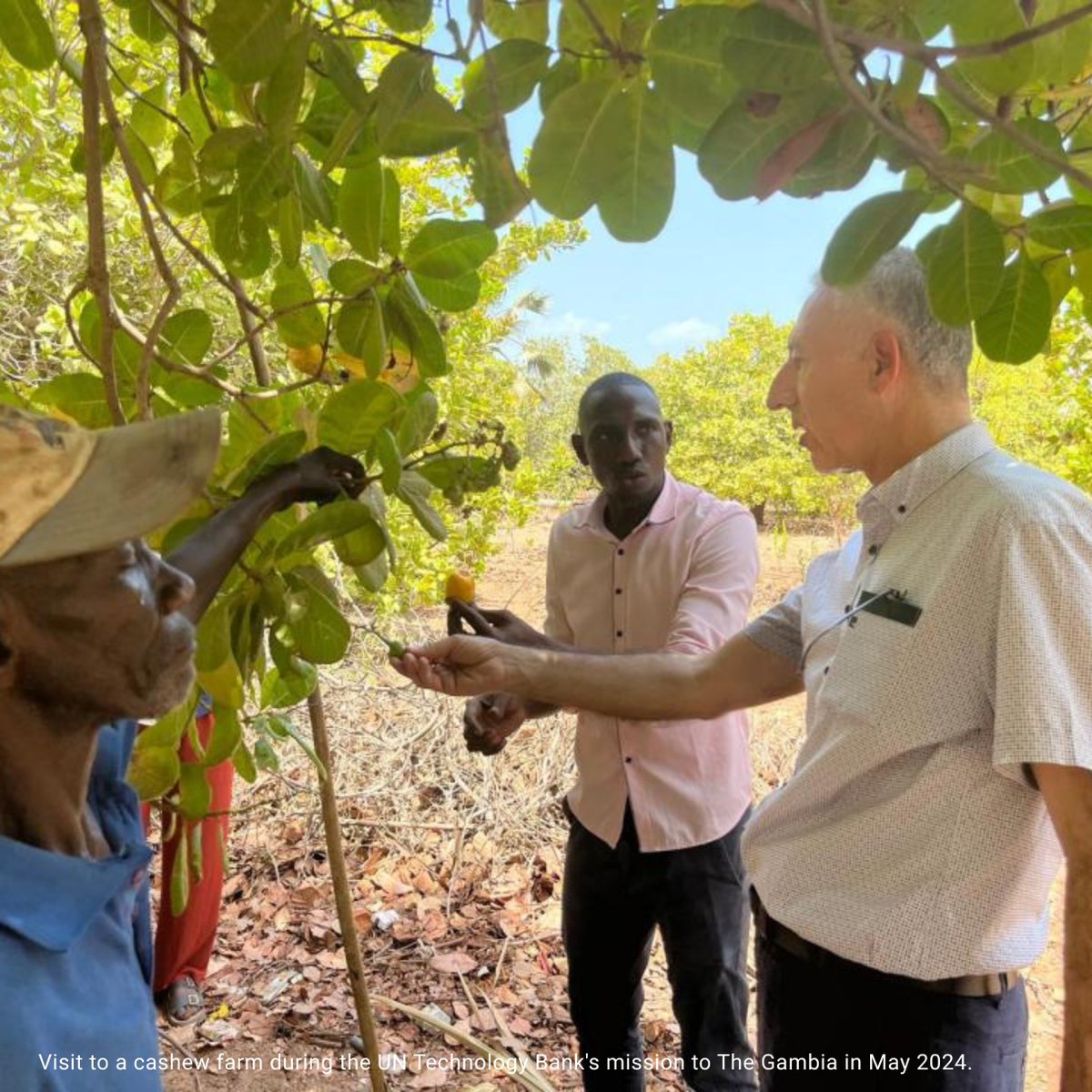 UNOHRLLS's tweet image. Technology can transform #LDC economies &amp;amp; unlock new opportunities.

Read the latest Op-Ed by @UNTechBank Director, exploring how digital tools and innovation can boost LDCS&apos; participation in global trade ⬇️

📖: un.org/ohrlls/opinion…