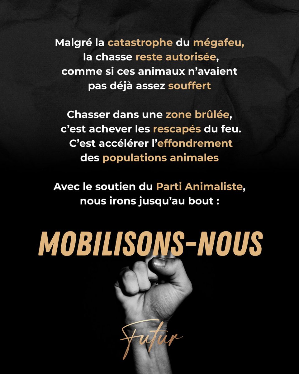 🔥 Malgré le mégafeu qui a ravagé l’Aude, la chasse reste ouverte.
Les animaux rescapés, déjà fragilisés, sont traqués par les fusils.
📧 Écrivons massivement au Préfet pour exiger l’interdiction de la chasse dans les zones sinistrées.
futur-asso.com/agir-chasse-in…