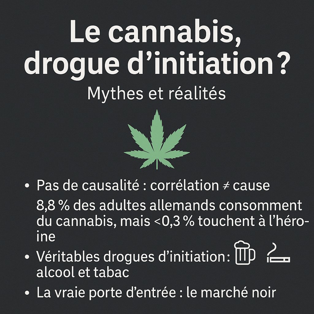 🚫 Le cannabis, “drogue d’initiation” ?
👉 Un mythe politique, pas une vérité scientifique.
Depuis les années 70, on répète que fumer un joint mènerait forcément à l’héroïne. La science dit l’inverse :

Pas de causalité : corrélation ≠ cause.

Statistiques : 8,8 % des adultes