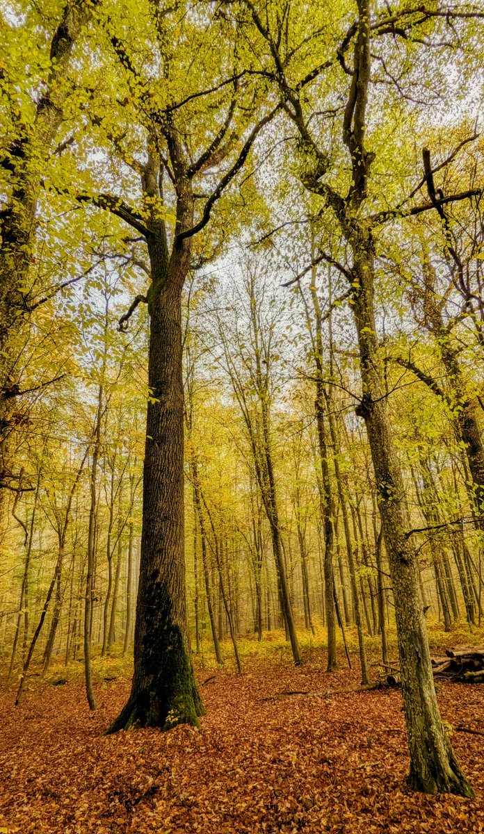 Share your nature photos with us ❤️