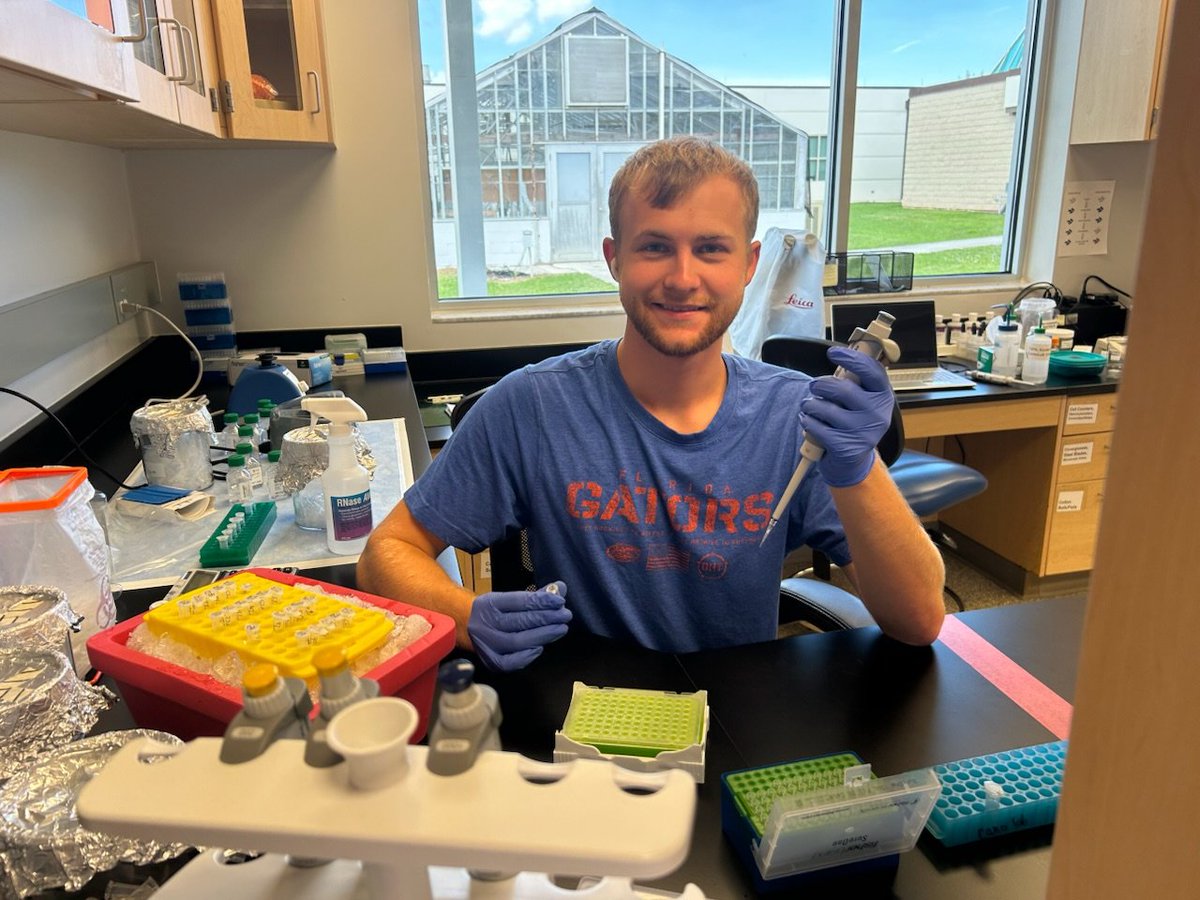 Cano_Lab's tweet image. Great having you on the team this summer, Ryan Cantrell &amp;amp; best wishes ahead at @UF_MCS. Thanks to @edi_diazb for his guidance &amp;amp; support in the lab @UFIFAS_IRREC @UFPlantPath, @UFCALS for supporting this work through the Summer Internship Fellowship &amp;amp; @USDA_NIFA,…