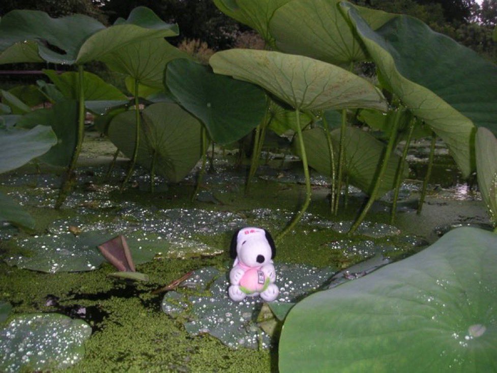 how it feels listening to don't worry i'll make you worry