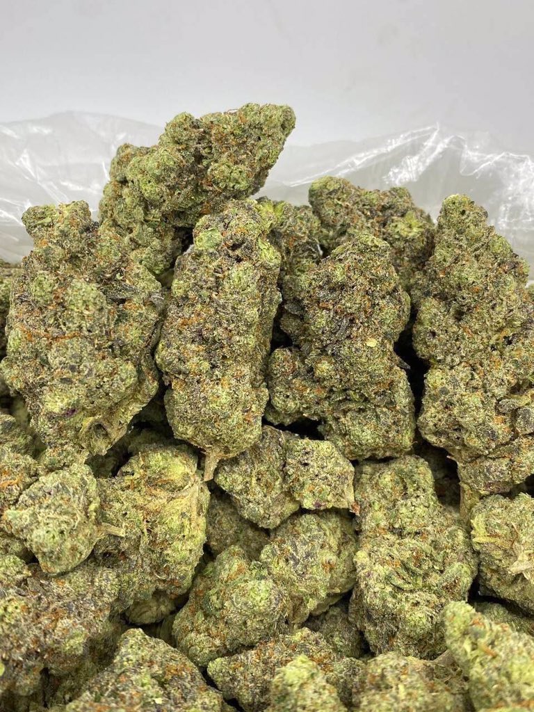 #HIGH SOCIETY

signal.group/#CjQKIEchHx9bG…