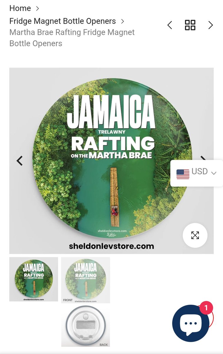 Get your souvenirs! shop.sheldonlev.com/collections/fr….