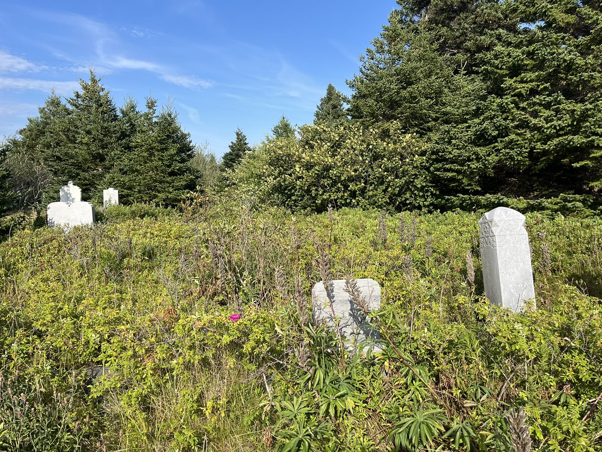 Gravestone, single rose.