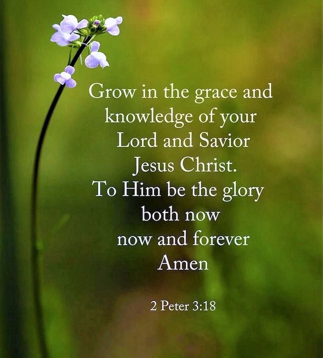 2 Peter 3:18
18 But grow in the grace and knowledge of our Lord and Savior Jesus Christ. To him be glory both now and forever! Amen.