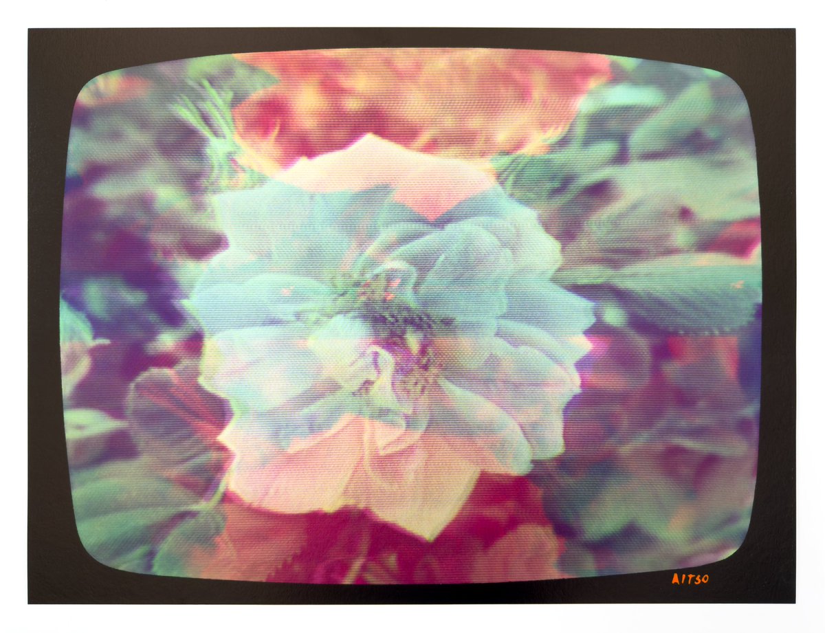 aitsolabs's tweet image. the prints from the Flowers for Ikegami series look amazing. i&apos;ve printed a few, but if there is one from the series that you&apos;d like as a 1/1 (print or nft), reach out. i&apos;ll make it happen!