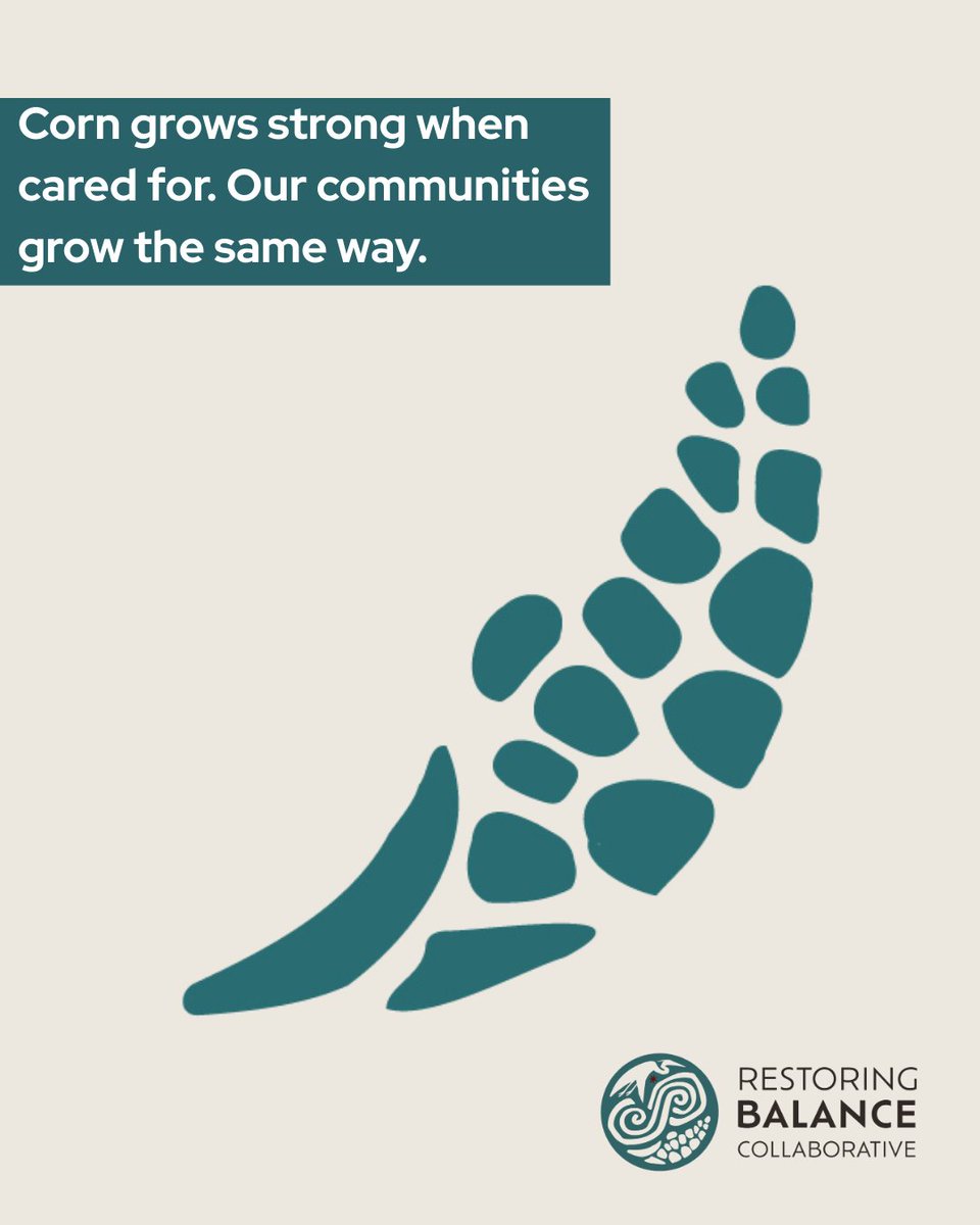 Corn teaches us how to grow, together.
Our first ripple is about growing #community through trust, patience, and the strength to lead from #Indigenous values. Our Stewards are planting seeds for a future that benefits all.

🌱Be part of our #rippleeffect restorebalance.world