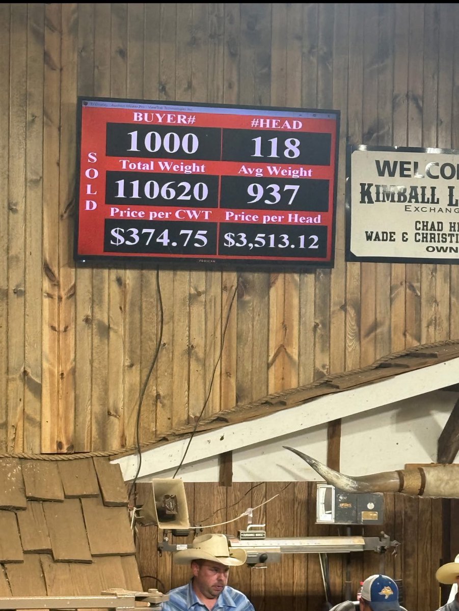 BitcoinAndCows's tweet image. New historical low for the dollar when measured against  900 lb beef steers