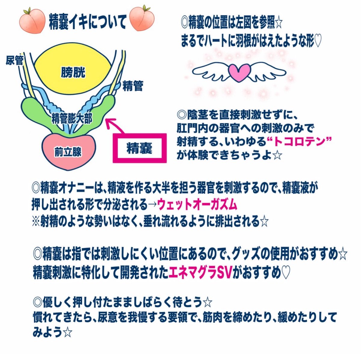 enemagra_OA's tweet photo. おはようございます
腸🌟気持ちいいポイント♡ https://t.co/Q77DsdVnXz