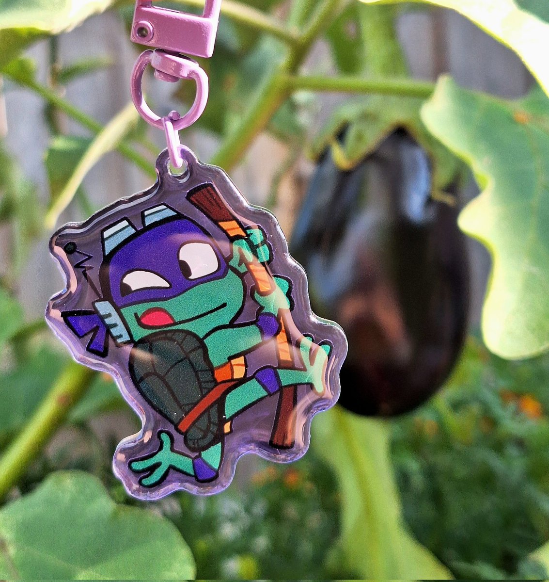 found some turtles in my garden 🐢🌻