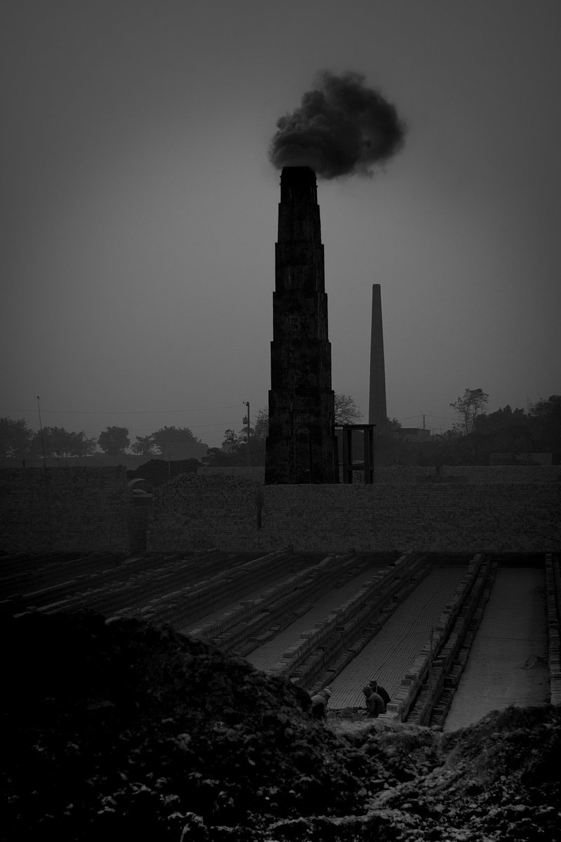 Amid smoke and shadows, hope takes flight.

Re-Imagine 

Coming soon 

Only on <a href="/drip_haus/">DRiP 💧</a> 💧