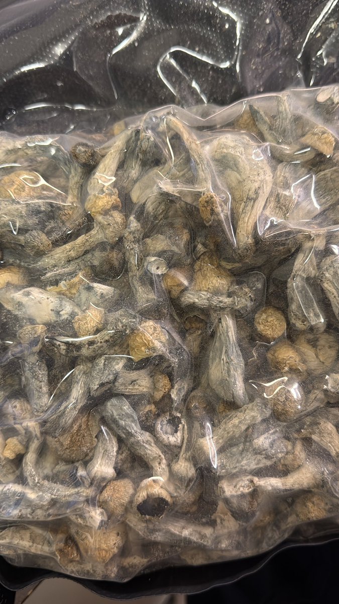 Tidal Wave x Avery Albino
🌊🌊🌊