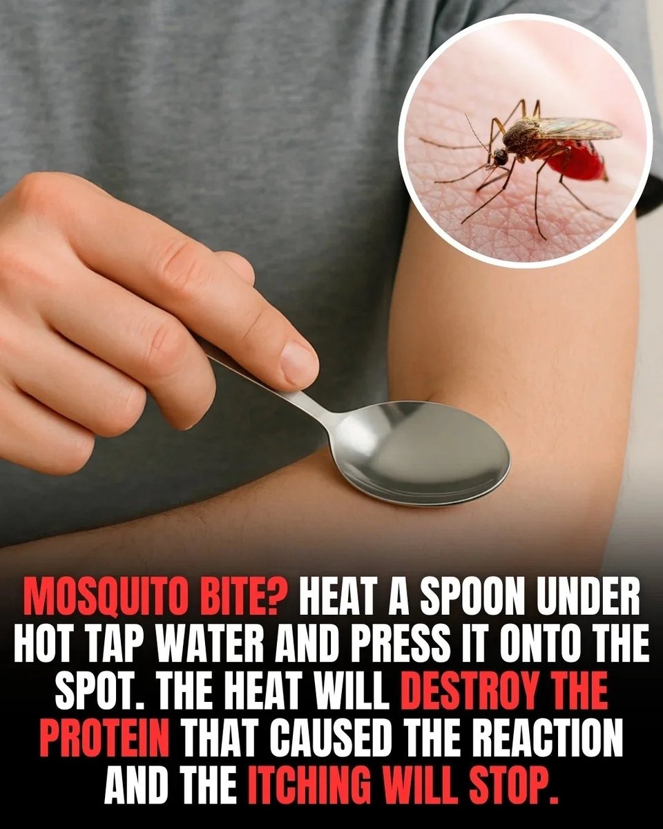 BarbaraOneillAU's tweet image. If a mosquito bites you, heat a metal spoon under hot tap water (not scalding) and press it gently onto the bite for 10-20 seconds. The heat can denature the proteins (like anticoagulants) left by the mosquito that trigger your immune reaction and histamine release, which cause