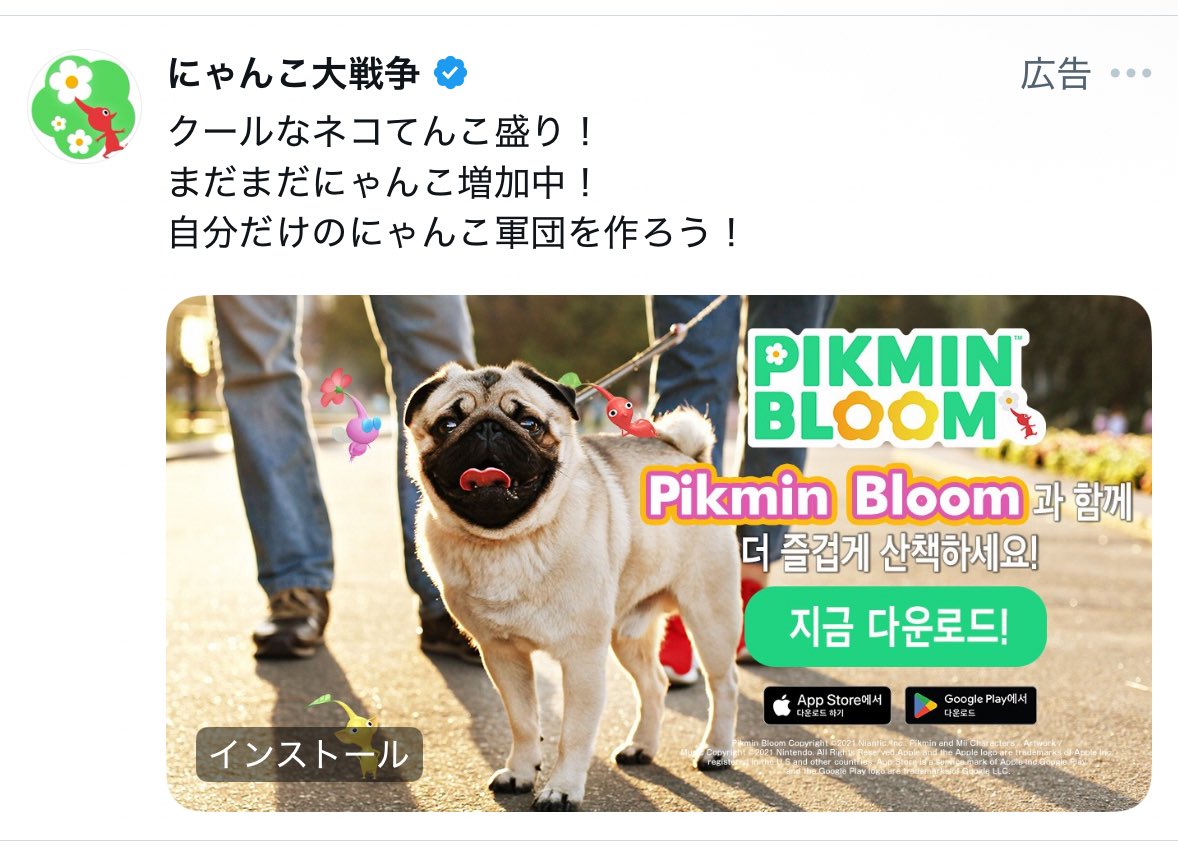 miho_sashi's tweet image. どっからつっこめばいいんだよぉ！！

強そうなにゃんこだなぁ！！