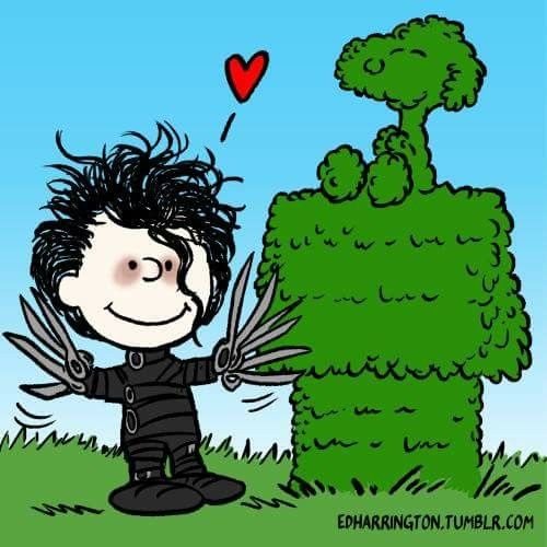 Snoopyloveronly's tweet image. 