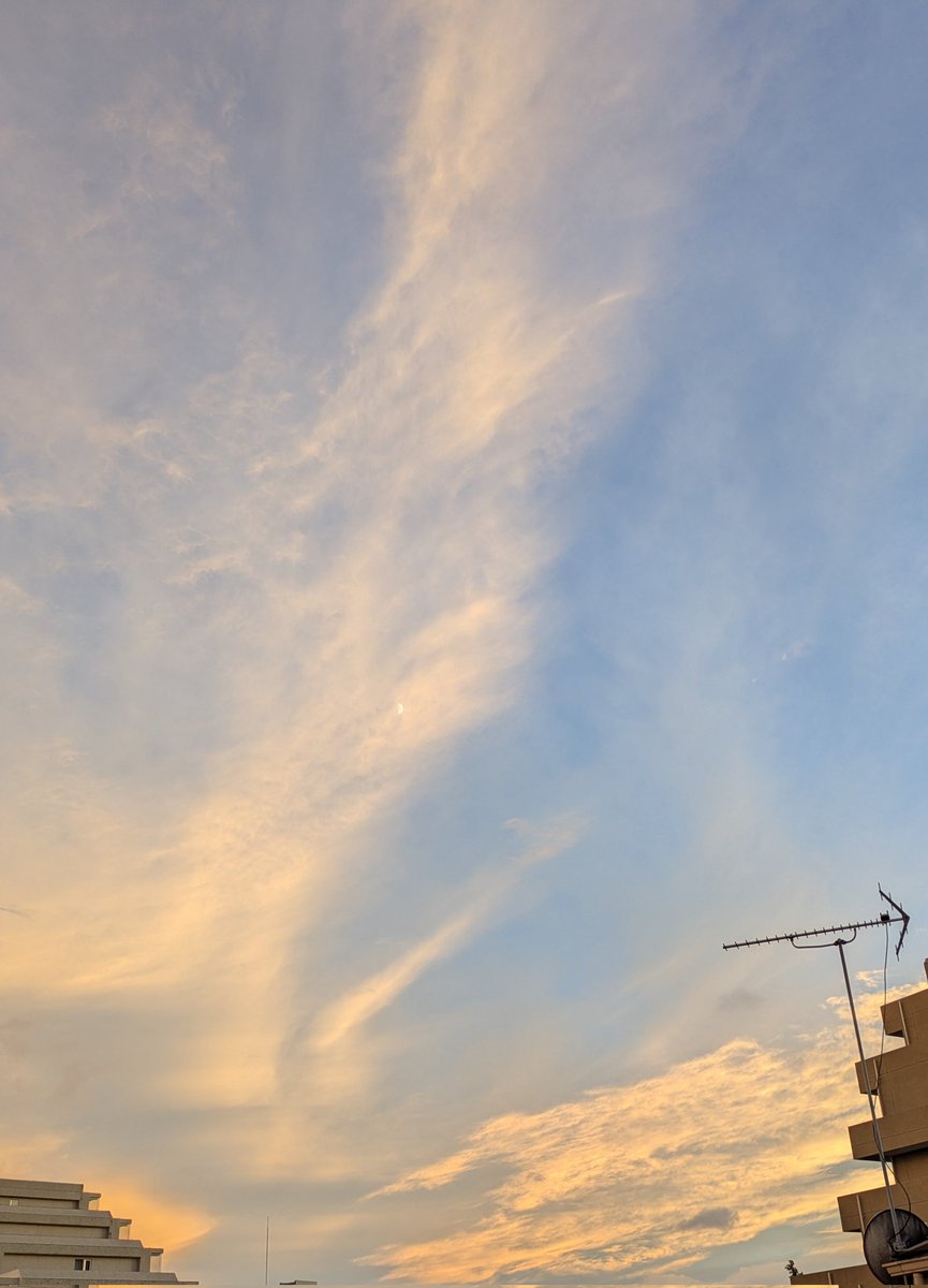 おはようございます☀
今日も気張ってこか。