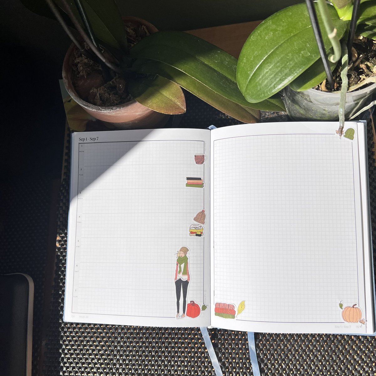 thetthinks's tweet image. Is it beanie season yet? Almost! 🍁🍂

#plannercommunity #satindollco #ilovetoplan #hemlockandoak  #beforethepen