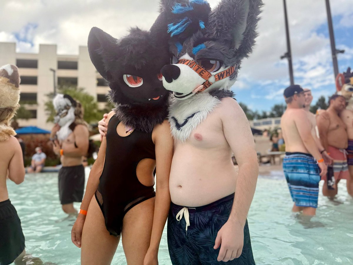 ArkisHusky's tweet photo. found this cute cat at the pool should i push them in? 

🐱 @zyyemeows https://t.co/7Ig6WZEUf0