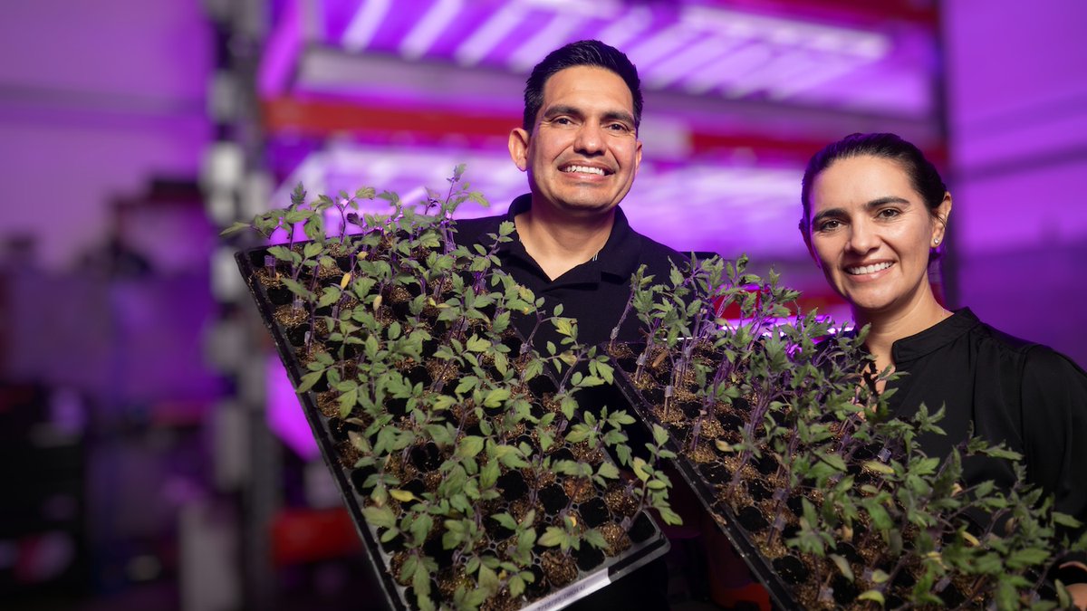 🚀🌿 @ncstatecals horticultural scientist Ricardo Hernandez launched Rooted-in-tech to turn discovery into impact for farmers. From garage-turned-farm to partnerships with major growers, he aims to redefine how seedlings are grown and delivered.

cals.ncsu.edu/news/rooted-in…