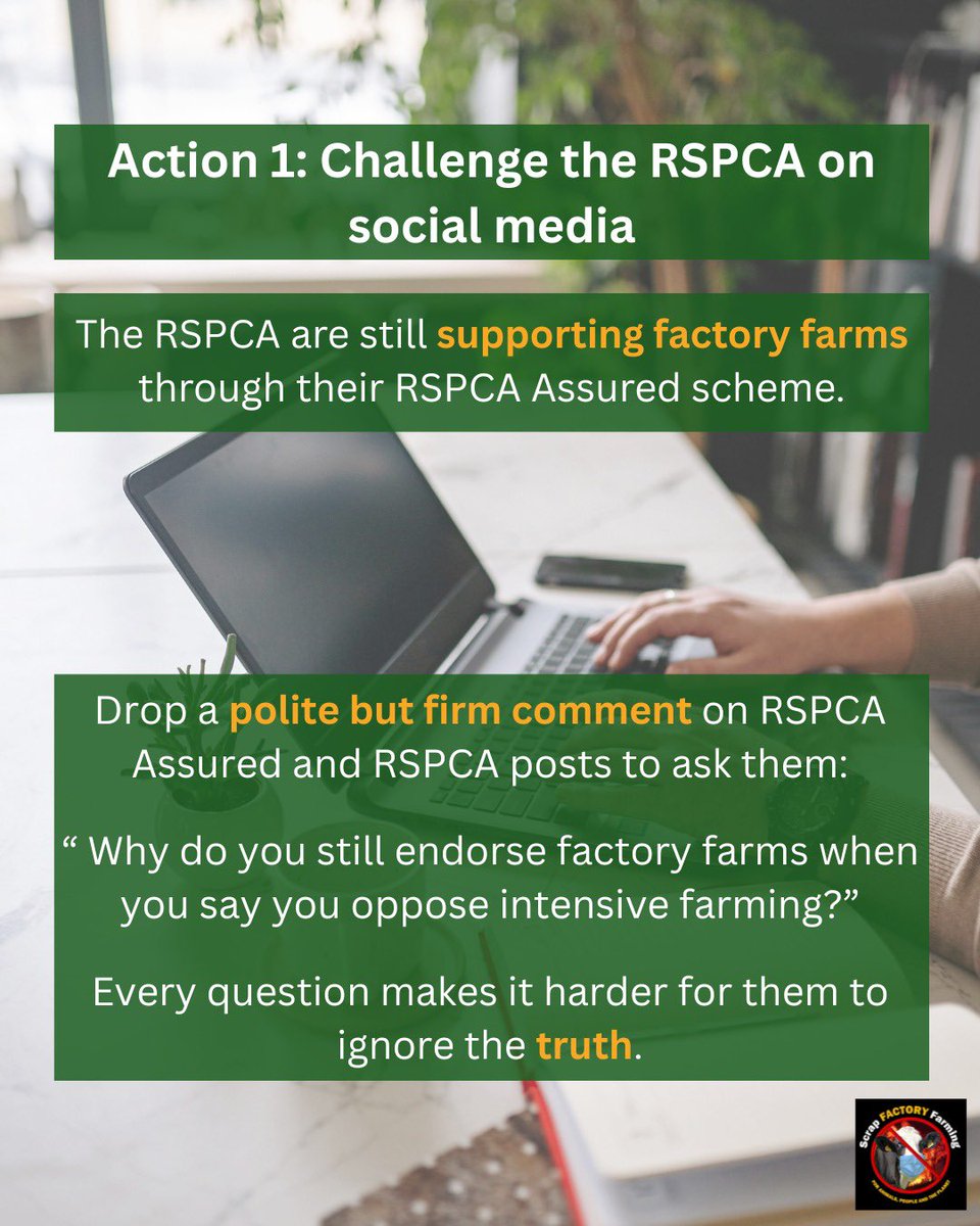 ScrapFactoryFarming tweet media