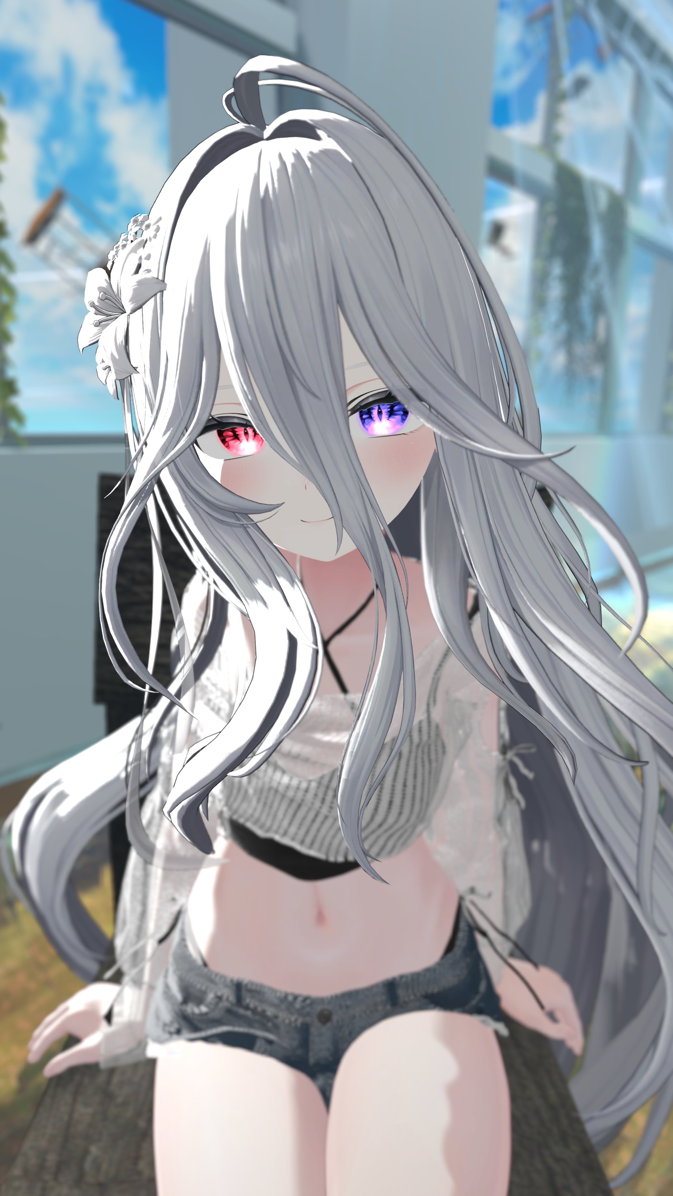 Tweet Image