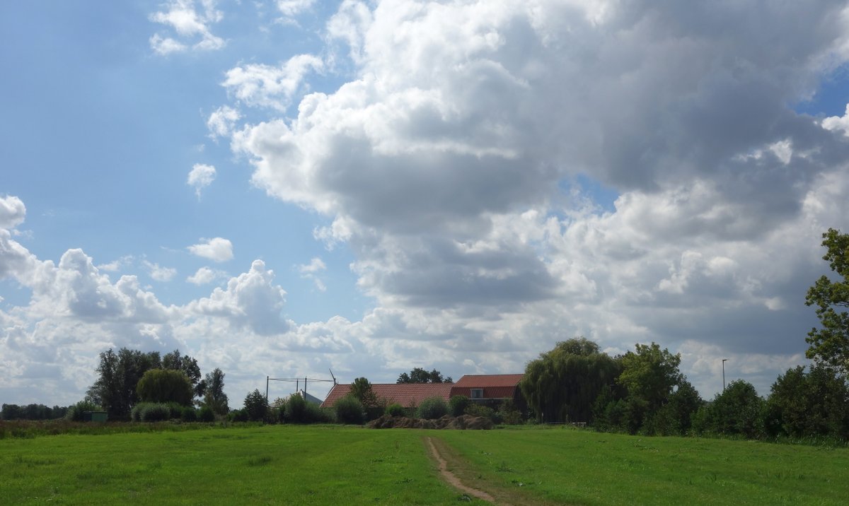 Fraaie wolkenstraatjes <a href="/BuienRadarNL/">Buienradar</a> <a href="/weermanrobert/">➡️ Robert de Vries</a> <a href="/onwukaa/">Amara Onwuka</a> <a href="/studioalphen/">Studio Alphen</a> <a href="/jordiweerman/">Jordi Huirne</a> <a href="/TalpaNetwork/">TalpaNetwork</a>