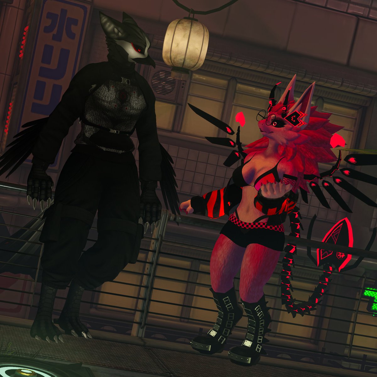 Found a pretty peacock on my porch🦚