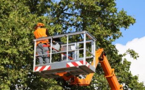 CanadianBPB's tweet image. Brockley Tree Service – London, Ontario 
Ex Brockley Tree Service – London, Ontario 
Expert tree care for homes &amp;amp; businesses! Services include tree pruning, removal, stump grinding, bush trimming, emergency service &amp;amp; more. #TreeService

Online Listing:
canadianbusinessphonebook.com/on/Brockley_Tr…