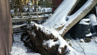 CanadianBPB's tweet image. Brockley Tree Service – London, Ontario 
Ex Brockley Tree Service – London, Ontario 
Expert tree care for homes &amp;amp; businesses! Services include tree pruning, removal, stump grinding, bush trimming, emergency service &amp;amp; more. #TreeService

Online Listing:
canadianbusinessphonebook.com/on/Brockley_Tr…