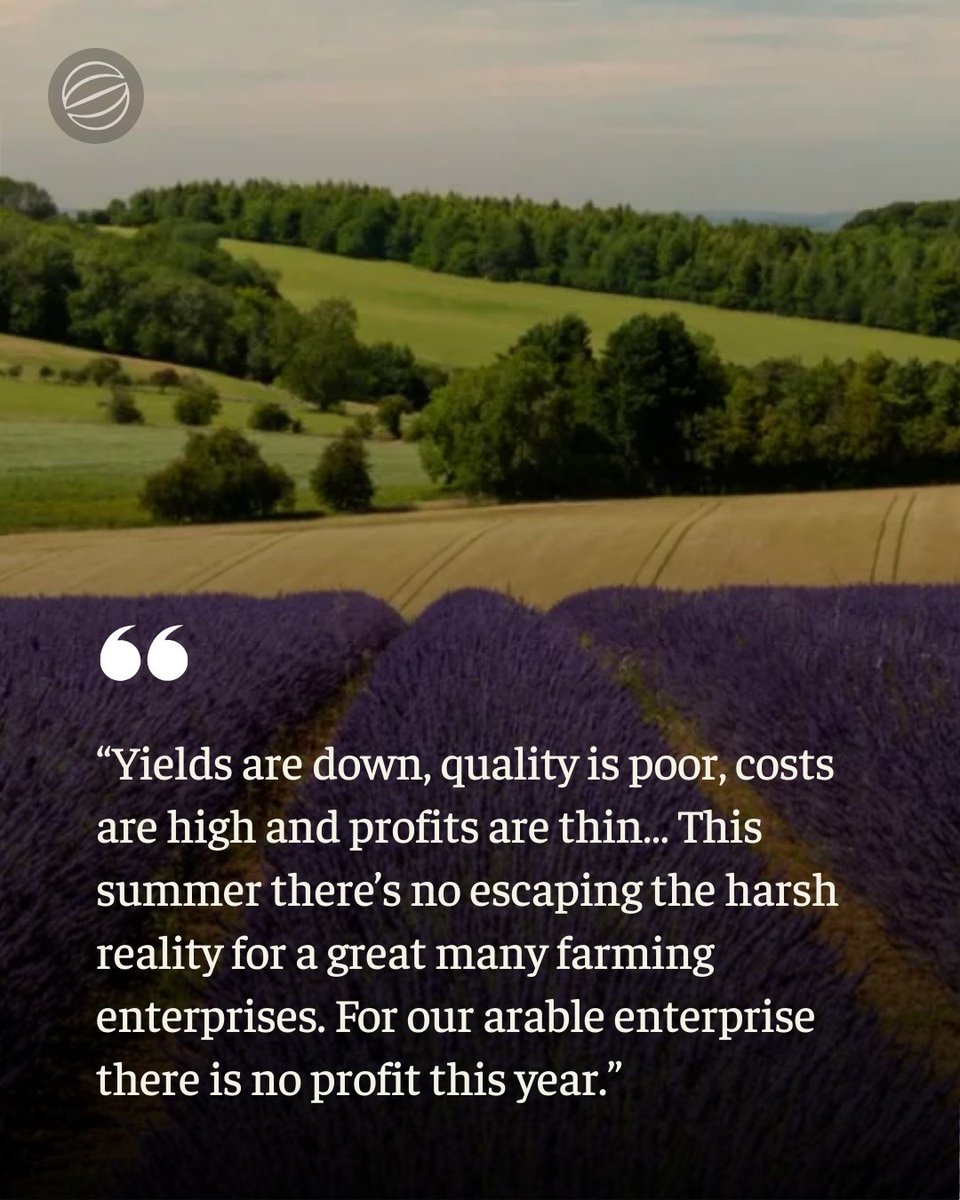 Scribehound Countryside tweet media