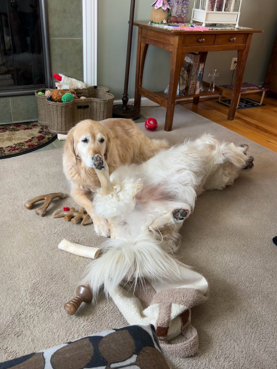 Really Holly?? Silly girl 🤣😂