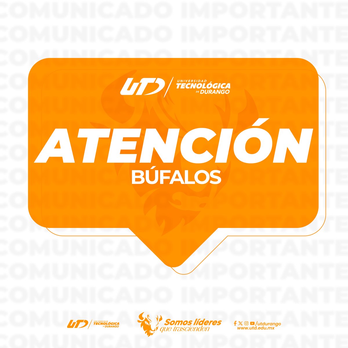 Se le informa a los padres de familia de alumnos de nuevo ingreso que la reunión informativa se llevará a cabo el jueves 4 de septiembre a las 12:00 p.m.

Es fundamental su asistencia para compartir información relevante sobre el inicio del ciclo escolar y los lineamientos.
 #UTD