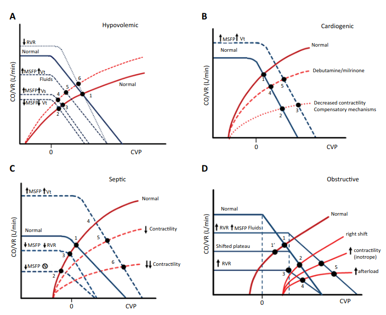 Right ventricle and venous system: bridging physiology and clinical practice. A narrative review

CCR Journal Watch - tracking the critical care literature daily
criticalcarereviews.com/latest-evidenc…