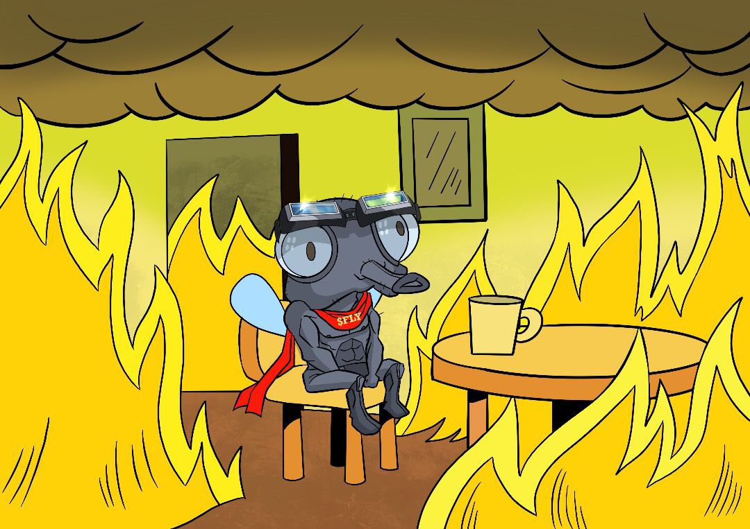 Lowkey feel like $FLY is the one. <a href="/SolanaFly/">FLY</a> been dropping hints all week.