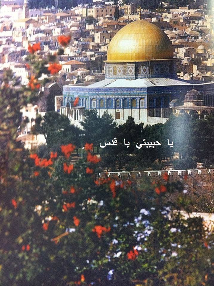 Naila_Ayad's tweet image. Would you like to travel to Palestine?