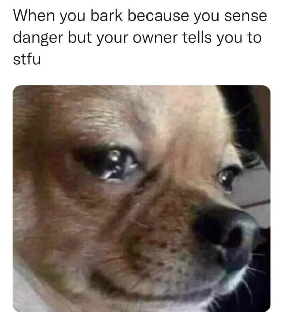 Rank_Success's tweet image. Social Media…😱 #nutshell 
UK 🇬🇧
Zeitgeist? 🤷🏼❓