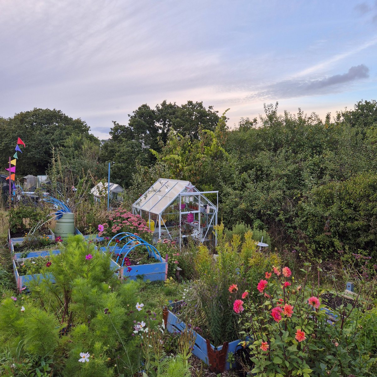 lovely_plot's tweet image. It&apos;s still standing... 🥰
Not a lot... just my plot...
Needs a little tidy, prune and chop... but it&apos;s still standing! ❤️