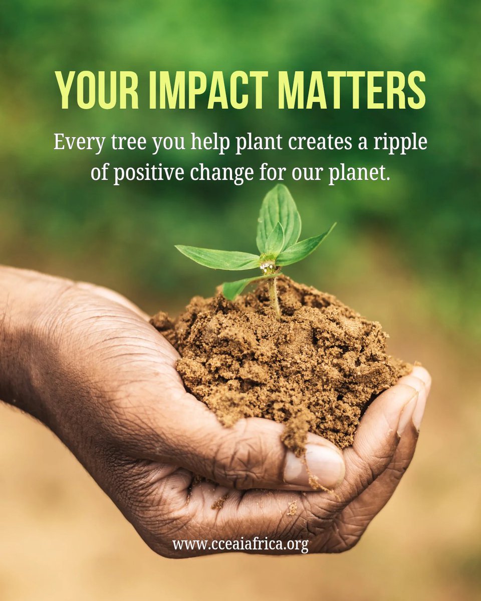 cceai_africa's tweet image. 🌍 Your impact matters! 🌱 Every tree you plant sparks a ripple of positive change—cleaner air, restored land &amp;amp; a healthier planet. Together, we can grow a greener future. Join us at 👉 cceaiafrica.org #ClimateAction #Reforestation #GreenAfrica