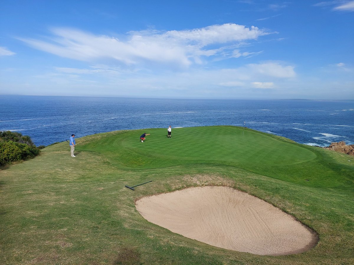 didi marques 🐼 tweet media